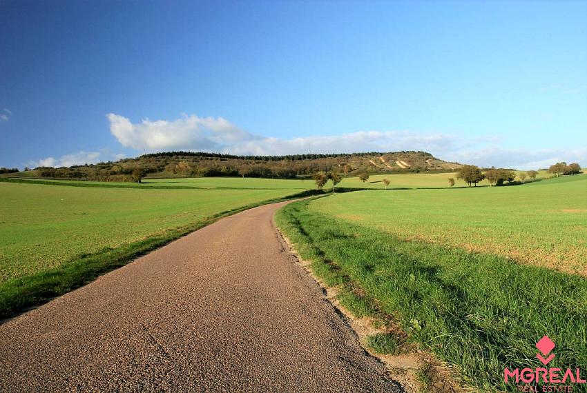 Pozemok - Topoľčany