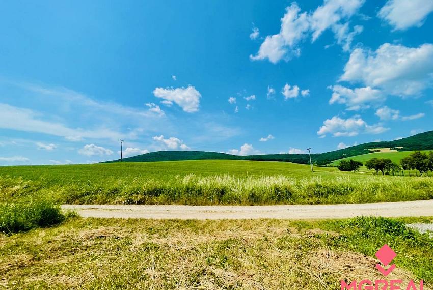 Na predaj orná pôda 9506 m2 Kolačno