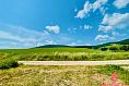 Na predaj orná pôda 9506 m2 Kolačno
