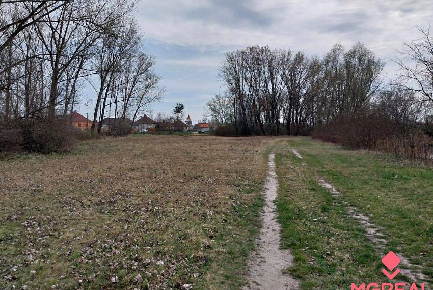 Rovinatý pozemok  17.000 m2 V. Kosihy (Komárno)