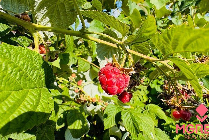 Na predaj záhradka 132 m2 Partizánske - pod Salašom