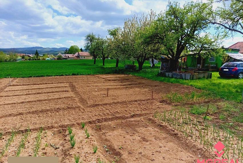 Na predaj stavebný pozemok 1678 m2 Bošany - Baštín 40 m x 42 m
