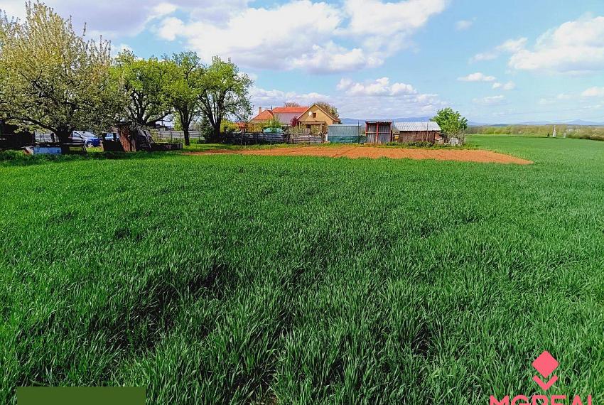 Na predaj stavebný pozemok 1678 m2 Bošany - Baštín 40 m x 42 m